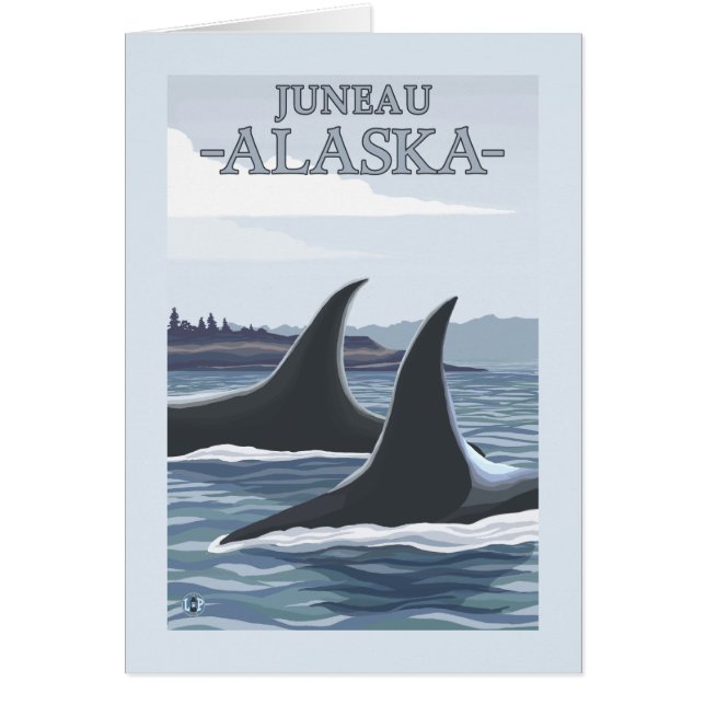 Orca Whales #1 - Juneau, Alaska (Vorne)