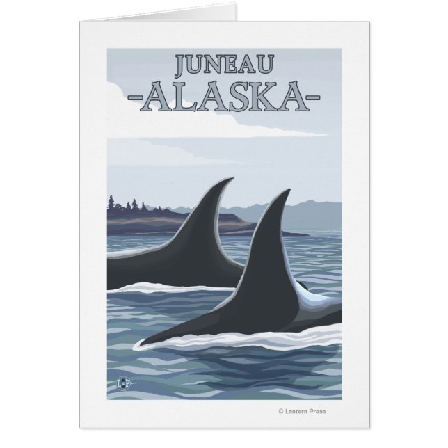 Orca Whales #1 - Juneau, Alaska (Vorne)