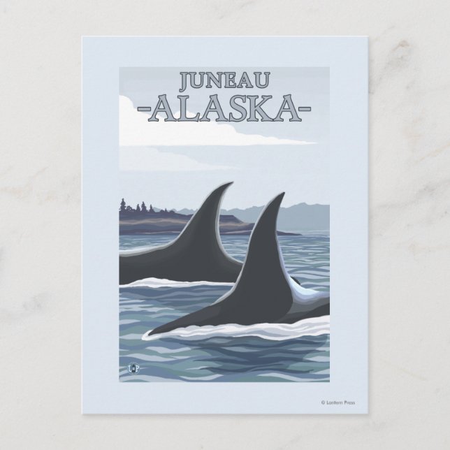 Orca Whales #1 - Juneau, Alaska Postkarte (Vorderseite)