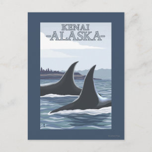 Orca Whales #1 - Kenai, Alaska Postkarte