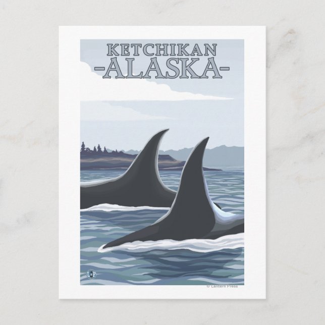 Orca Whales #1 - Ketchikan, Alaska Postkarte (Vorderseite)