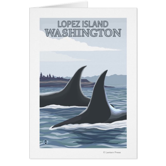 Orca Whales #1 - Lopez, Washington (Vorne)