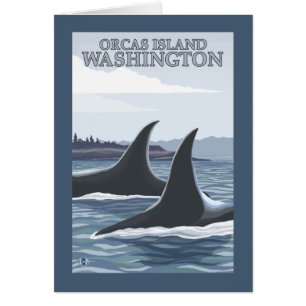 Orca Whales #1 - Orcas Island, Washington