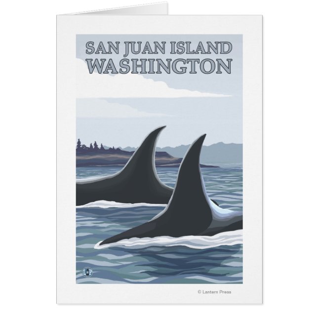 Orca Whales #1 - San Juan Island, Washington (Vorne)
