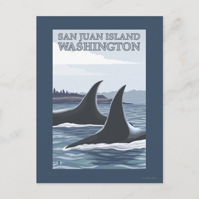 Orca Whales #1 - San Juan Island, Washington Postkarte (Vorderseite)
