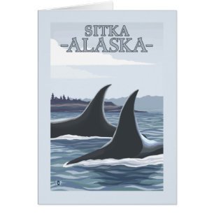 Orca Whales #1 - Sitka, Alaska