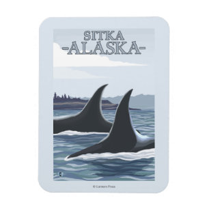 Orca Whales #1 - Sitka, Alaska Magnet