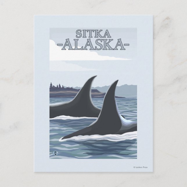 Orca Whales #1 - Sitka, Alaska Postkarte (Vorderseite)