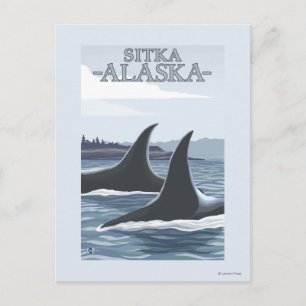 Orca Whales #1 - Sitka, Alaska Postkarte