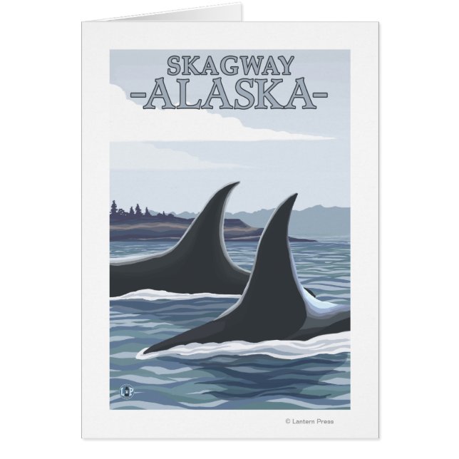 Orca Whales #1 - Skagway, Alaska (Vorne)