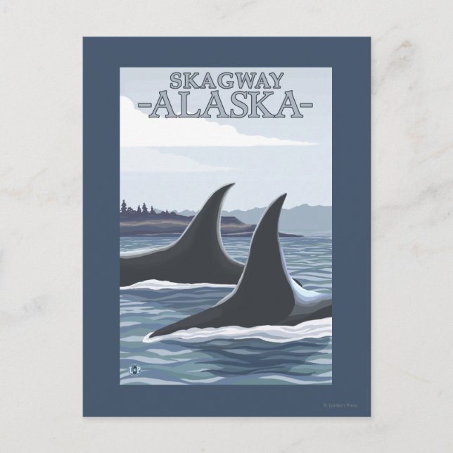 Orca Whales #1 - Skagway, Alaska Postkarte (Vorderseite)