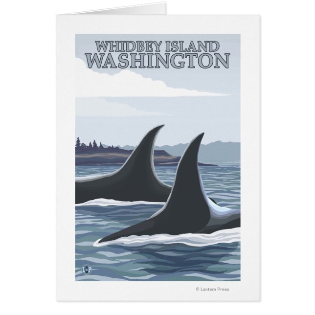 Orca Whales #1 - Whidbey, Washington (Vorne)