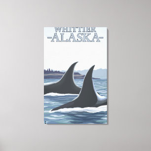 Orca Whales #1 - Whittier, Alaska Leinwanddruck