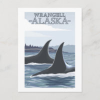Orca Whales #1 - Wrangell, Alaska