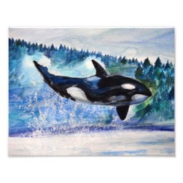 Orca Wildlife Aquarell Foto
