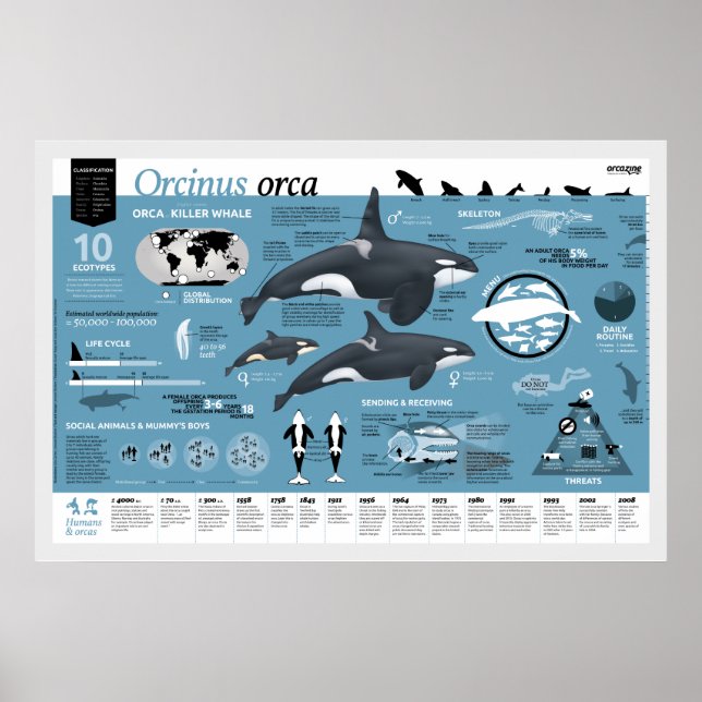 Orcagraphisches Poster - englische Ausgabe (Vorne)