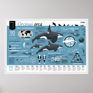 Orcagraphisches Poster - Nederlandse editie