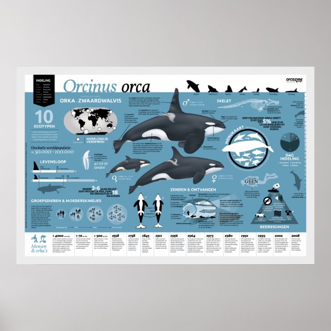 Orcagraphisches Poster - Nederlandse editie (Vorne)