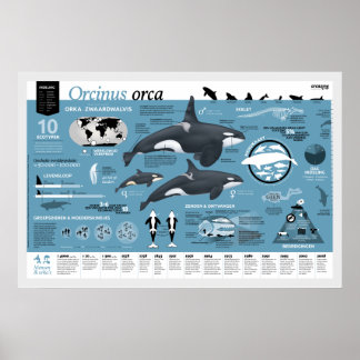 Orcagraphisches Poster - Niederländische Ausgabe