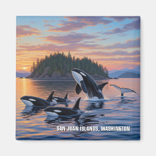 Orcas in Washington san juan Inseln reisen Magnet