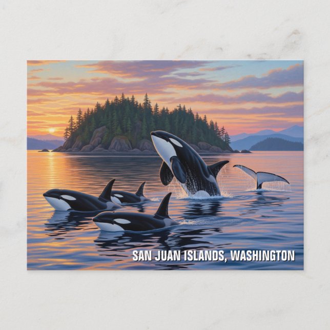 Orcas in Washington san juan Inseln reisen Postkarte (Vorderseite)