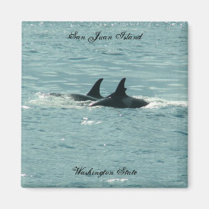 Orcas! Magnet