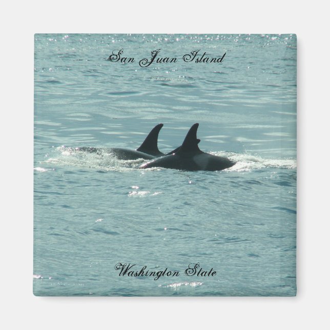 Orcas! Magnet (Vorne)