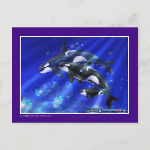Orcas Postkarte