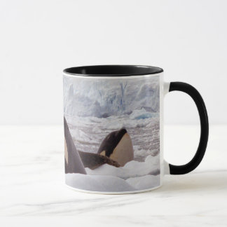 Orcas Spyhopping Tasse