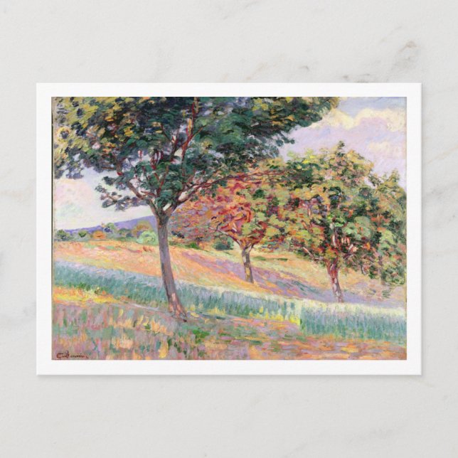 Orchard at St. Cheron, 1893 Postkarte (Vorderseite)