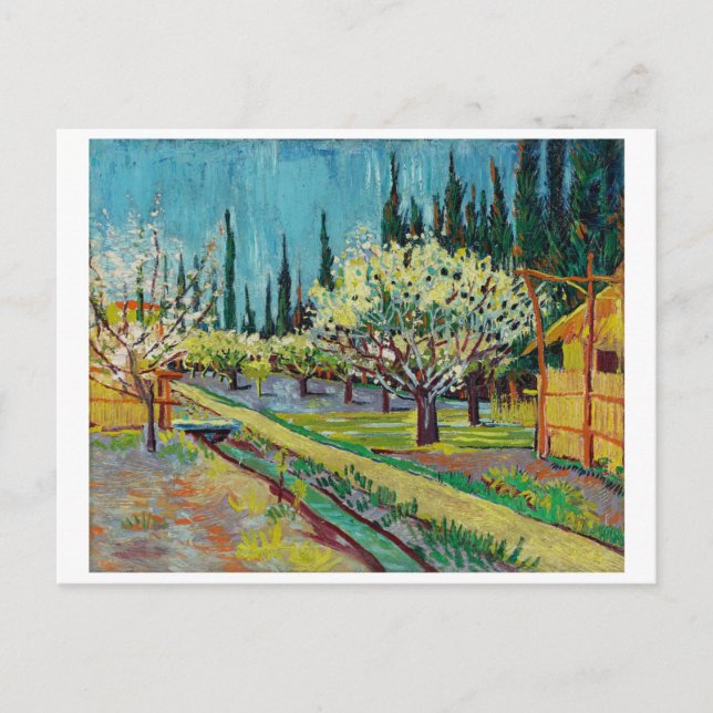 "ORCHARD BY CYPRESSES" VON VINCENT VAN GOGH POSTKARTE (Vorderseite)