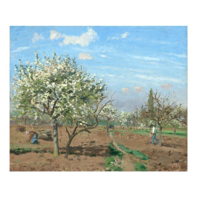 Orchard in Bloom, Louveciennes Camille Pissarro Fotodruck (Vorne)