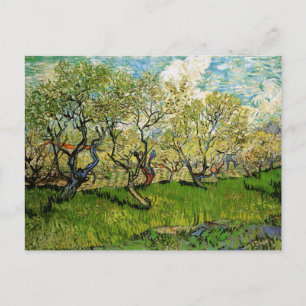 Orchard in Blossom Amsterdam Van Gogh Postkarte