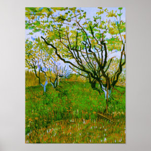 Orchard in Blossom Van Gogh Poster