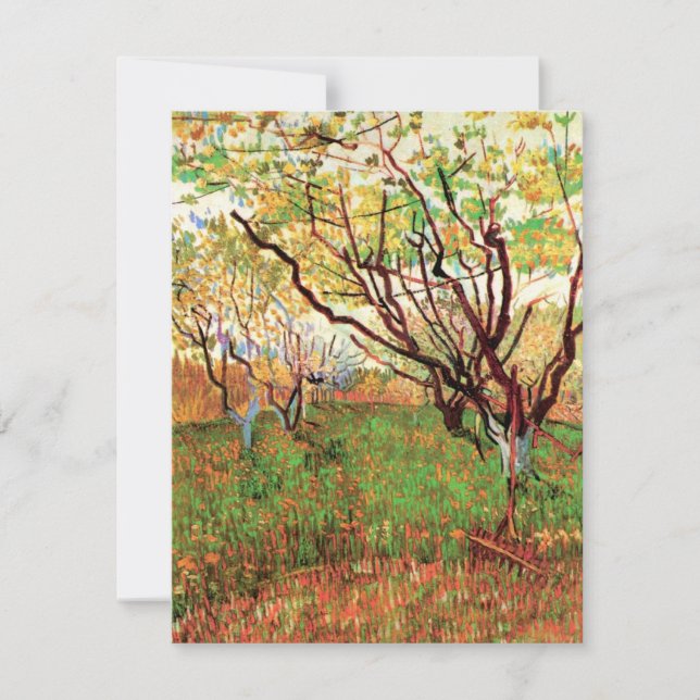 Orchard in Blossom von Vincent van Gogh (Vorderseite)