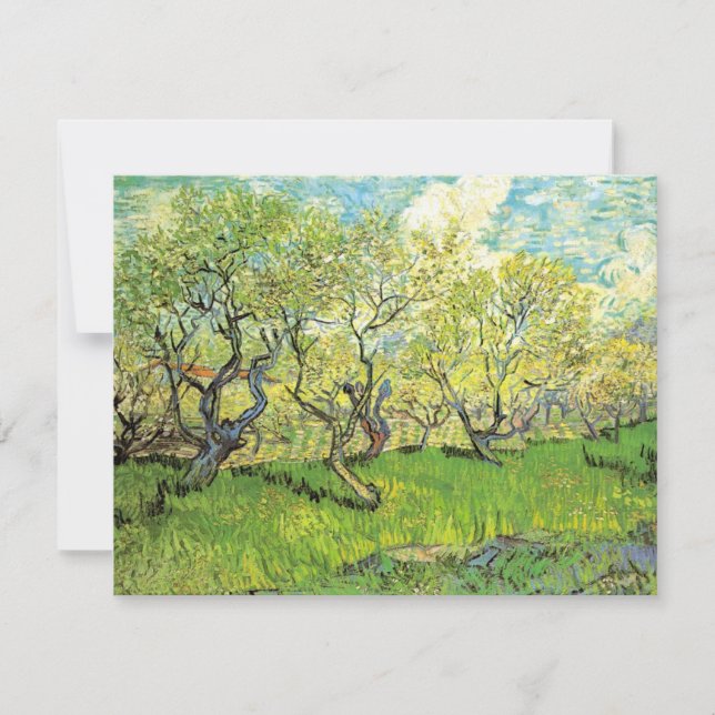 Orchard in Blossom von Vincent van Gogh (Vorderseite)