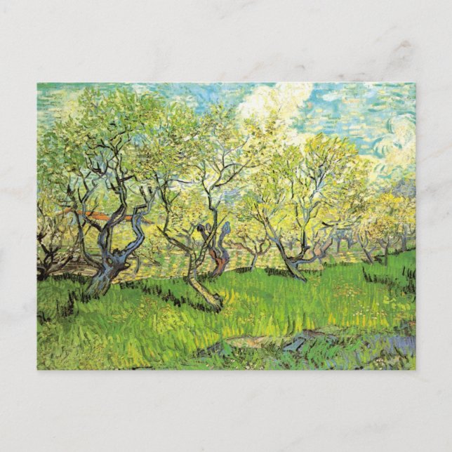 Orchard in Blossom von Vincent van Gogh Postkarte (Vorderseite)