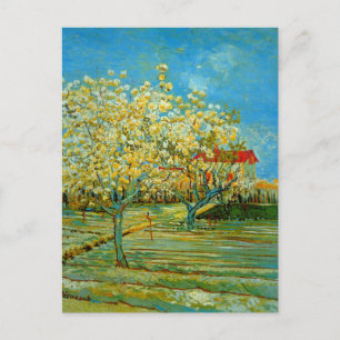 Orchard in Blossom von Vincent van Gogh Postkarte