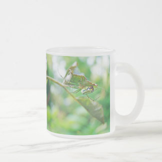 Orchard Orbweaver Spider - Leucauge venusta Mattglastasse