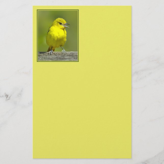 Orchard Oriole - Original Foto Briefpapier (Vorderseite)