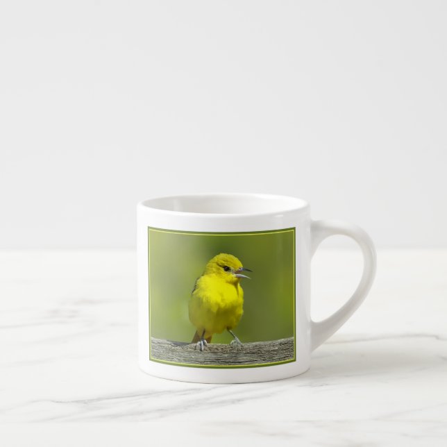 Orchard Oriole - Original Foto Espressotasse (Rechts)