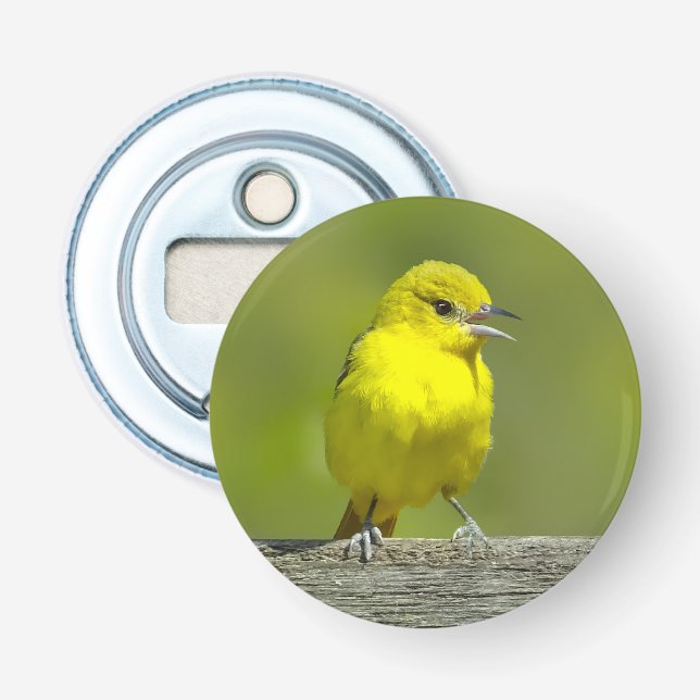 Orchard Oriole - Original Foto Flaschenöffner (Vorderseite)