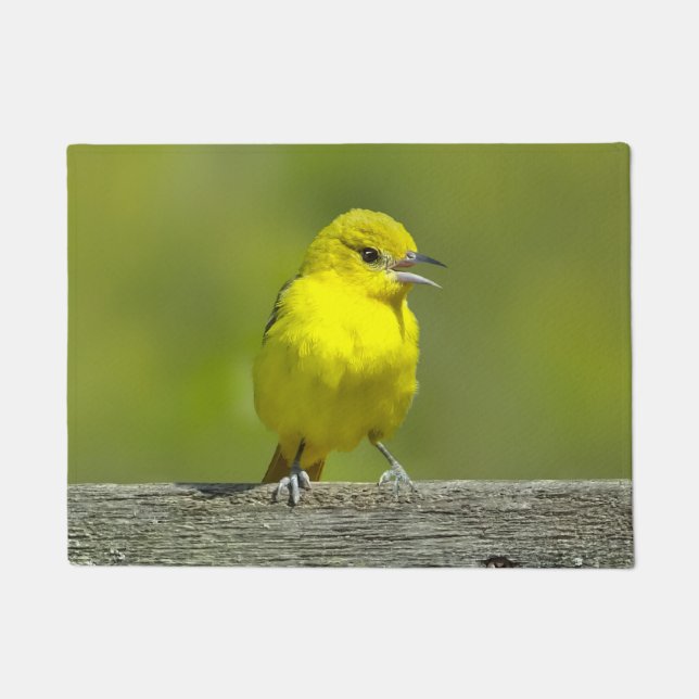 Orchard Oriole - Original Foto Fußmatte (Vorderseite)