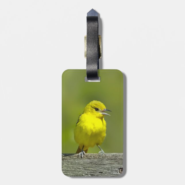 Orchard Oriole - Original Foto Gepäckanhänger (Rückseite vertikal)