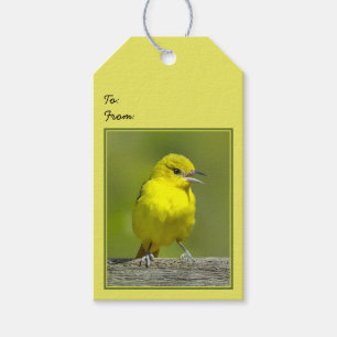 Orchard Oriole - Original Foto Geschenkanhänger