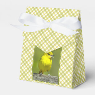 Orchard Oriole - Original Foto Geschenkschachtel