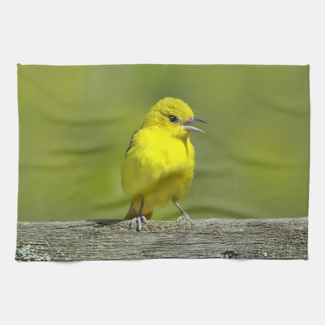 Orchard Oriole - Original Foto Geschirrtuch (Horizontal)