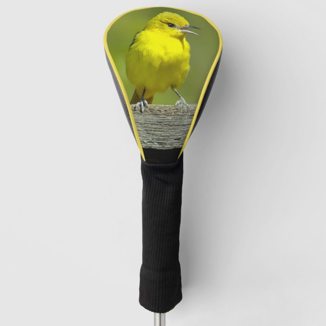 Orchard Oriole - Original Foto Golf Headcover (Vorderseite)