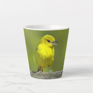 Orchard Oriole - Original Foto Milchtasse