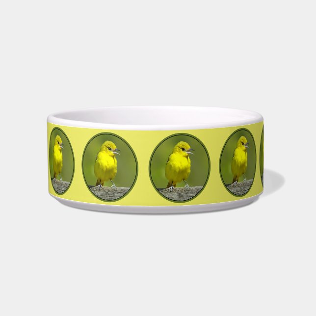 Orchard Oriole - Original Foto Napf (Links)